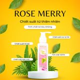  Combo Dung dịch vệ sinh trầu không Rose Merry 120ml + Nước hoa vùng kín  Daisy CV G+ 15ml 