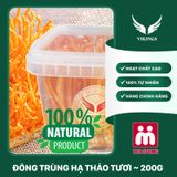  [Mua chung HCM] - Đông Trùng Hạ Thảo Tươi - Hủ Vuông ~200gram - Hoạt chất cao - Tăng cường miễn dịch, sức đề kháng, giảm mệt mỏi 