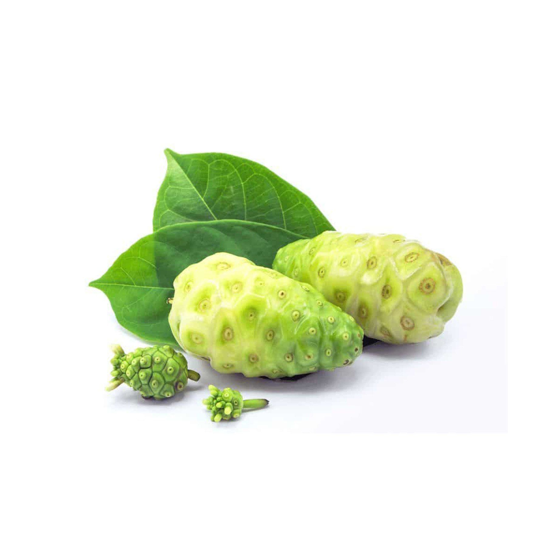 Nước Cốt Trái Nhàu Minoni