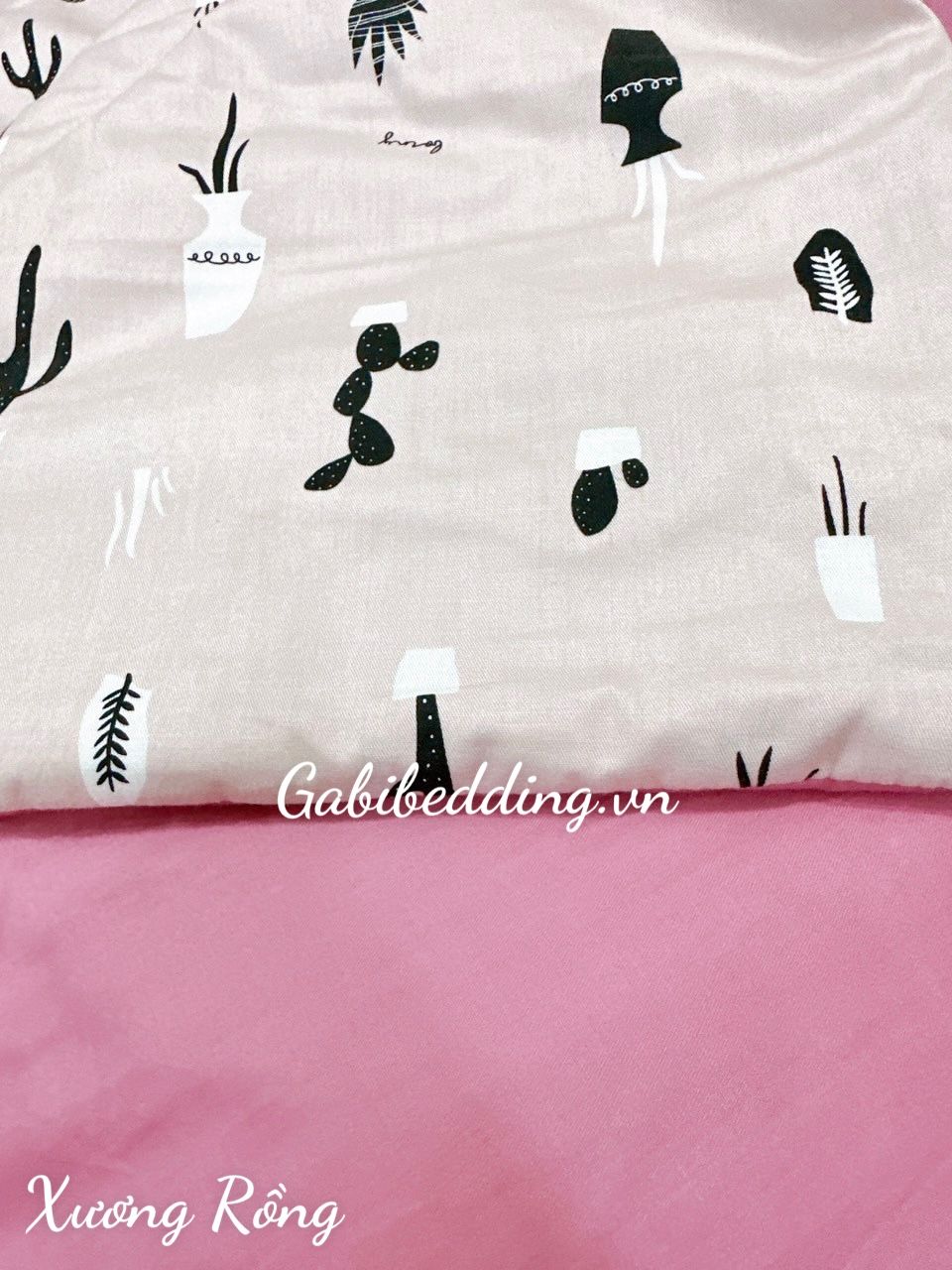 Satin Xương Rồng