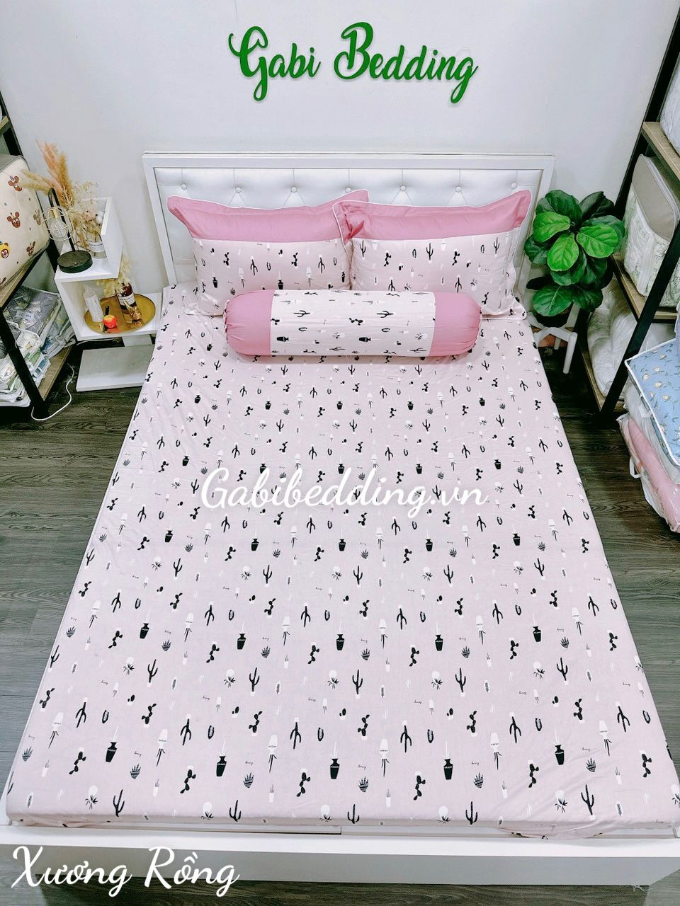 Satin Xương Rồng