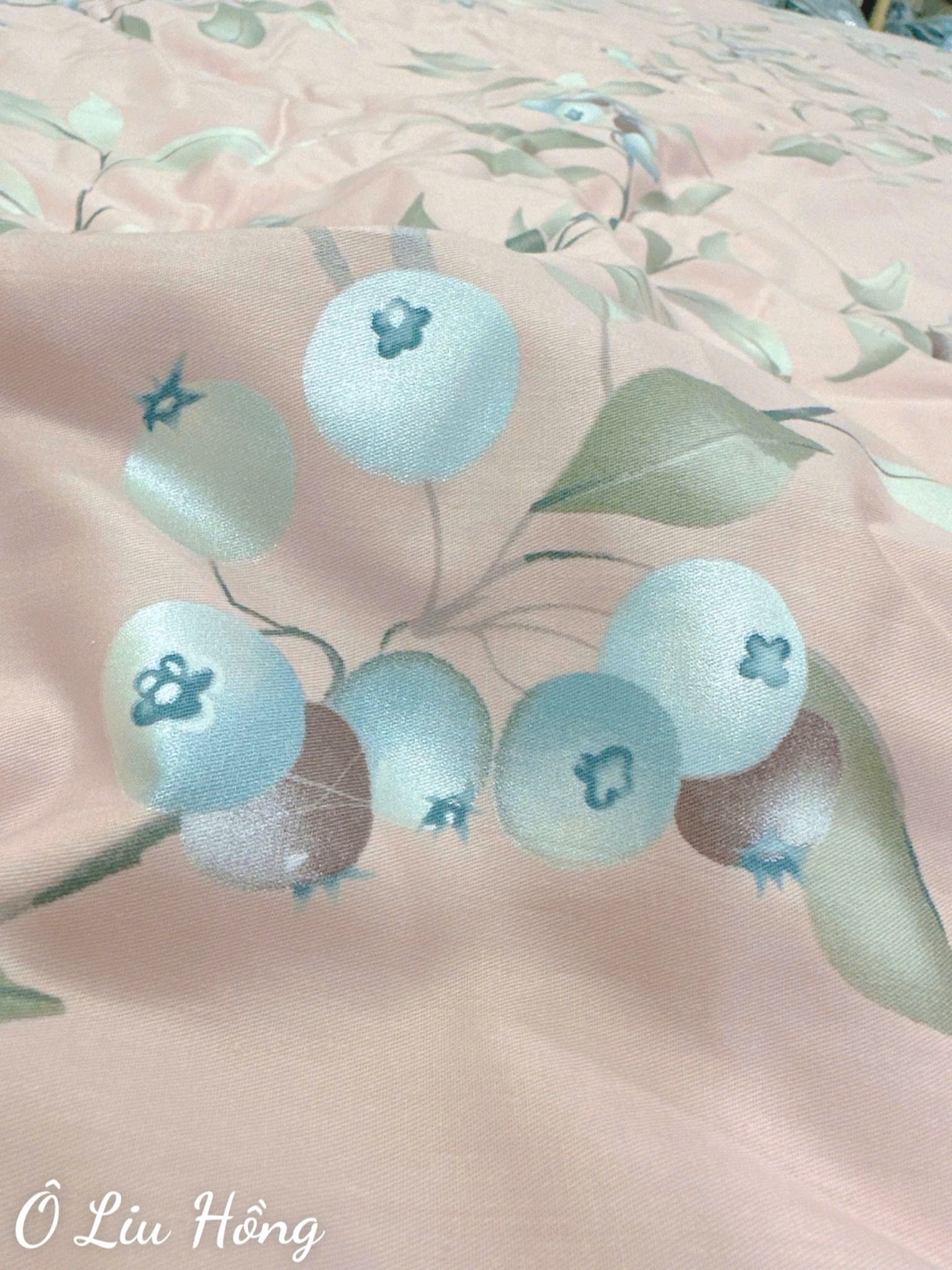 Satin Ô Liu Hồng