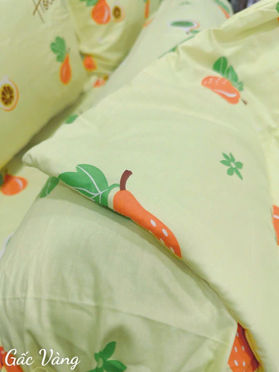 Cotton Gấc Vàng