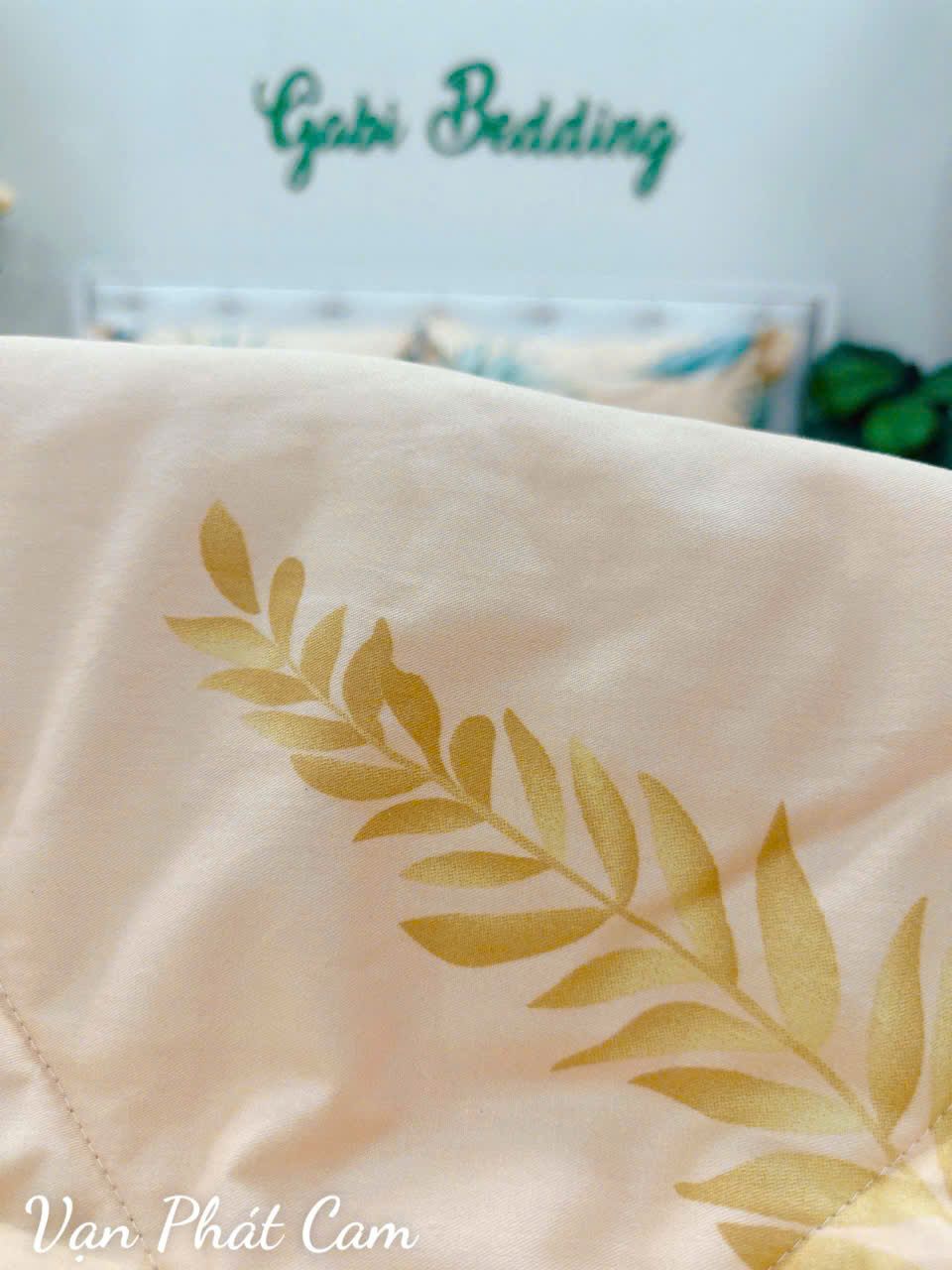 Cotton Vạn Phát Cam