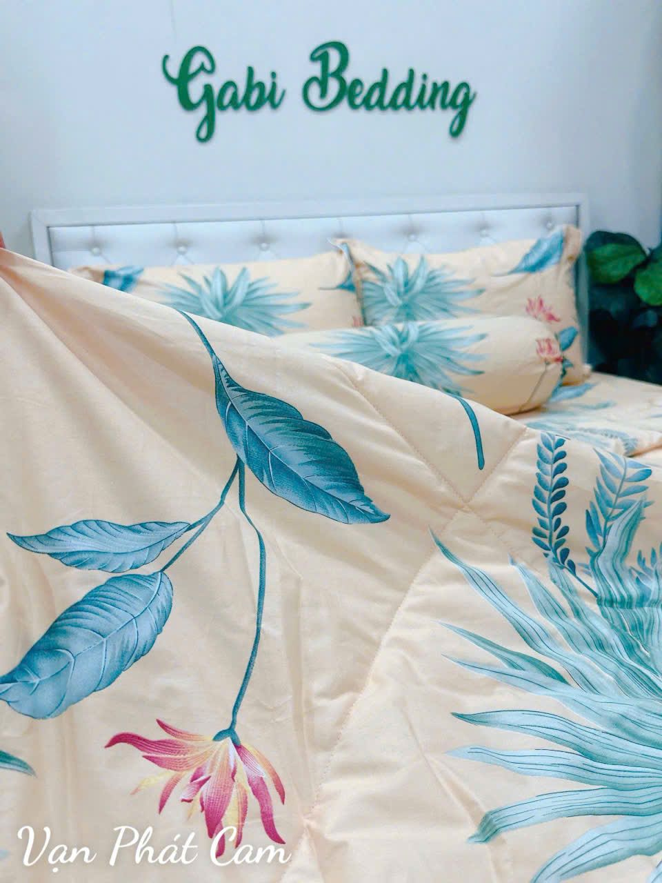Cotton Vạn Phát Cam