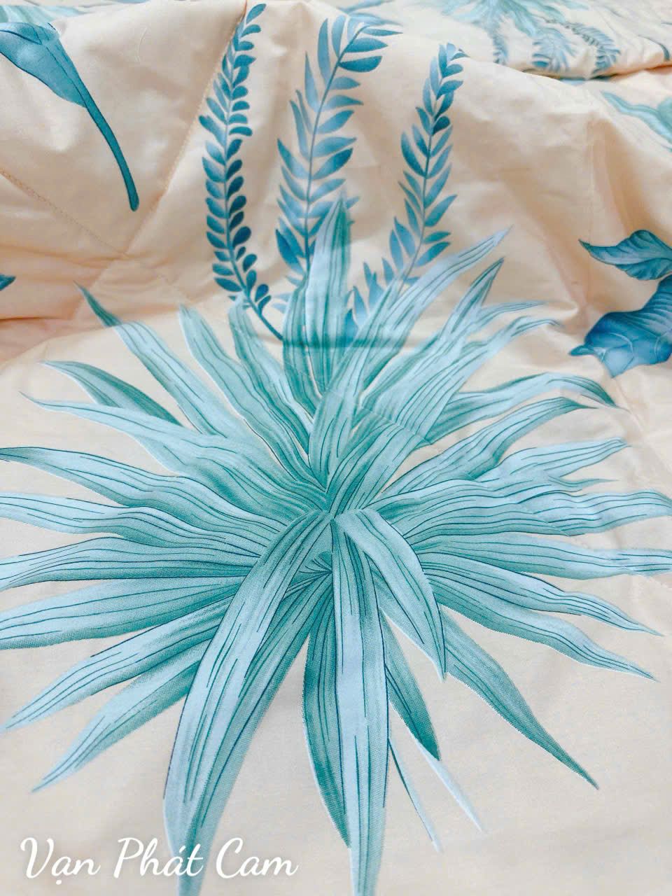 Cotton Vạn Phát Cam