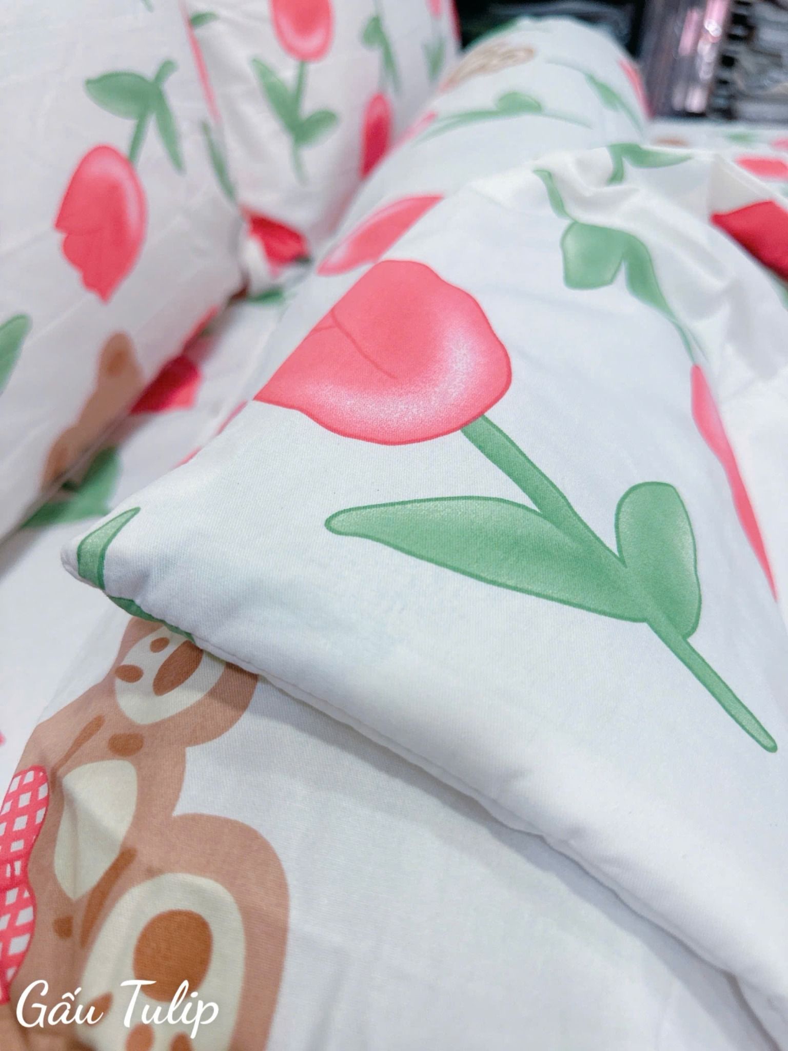 Cotton Gấu Tulip