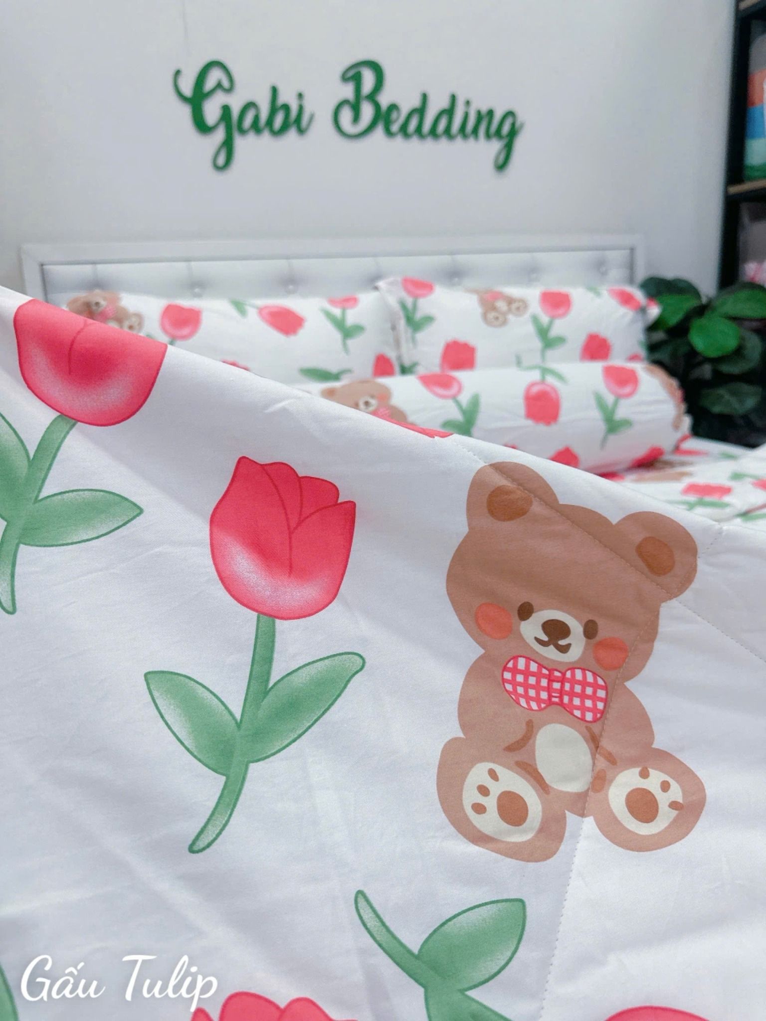 Cotton Gấu Tulip
