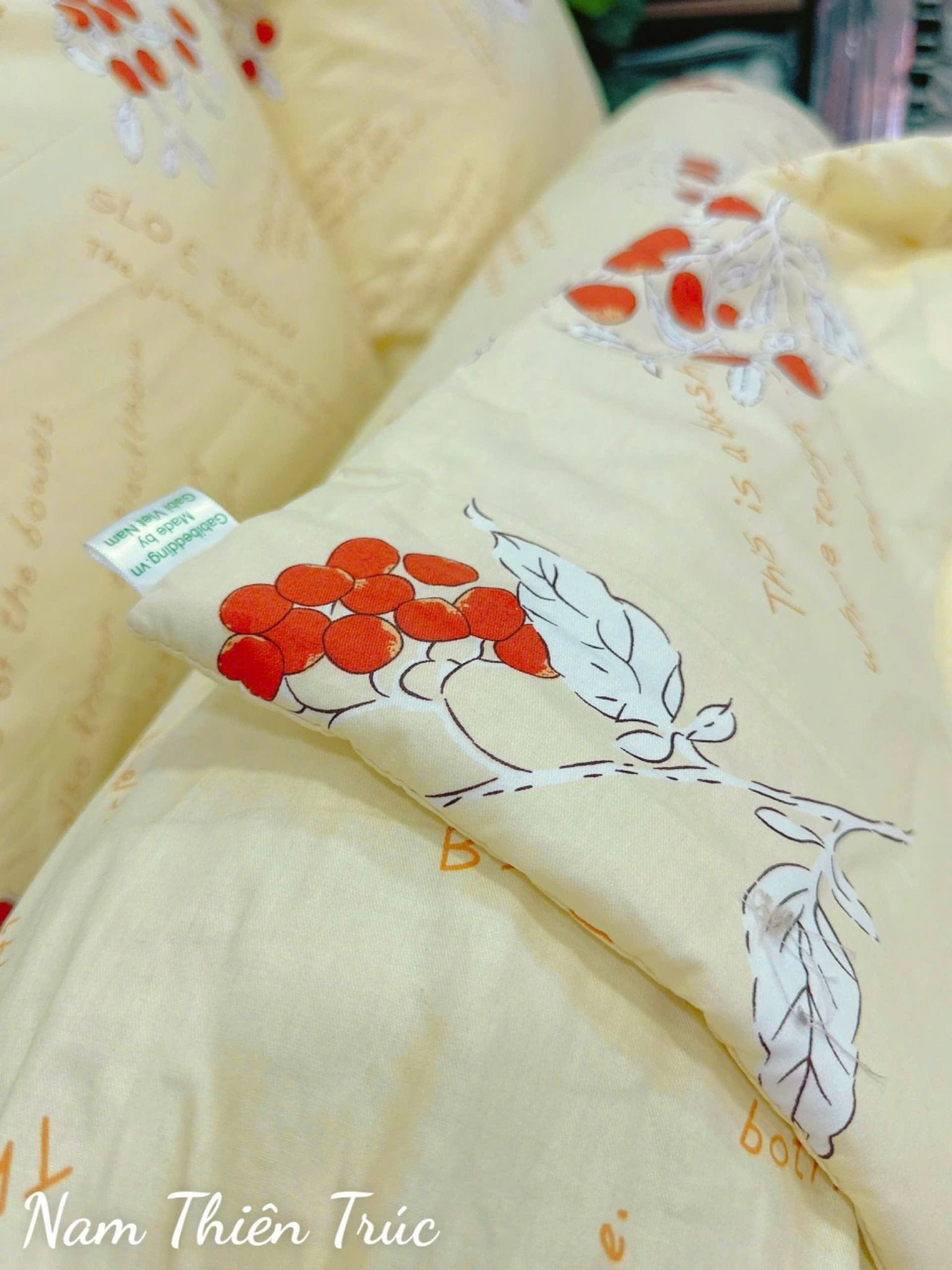 Cotton Nam Thiên Trúc