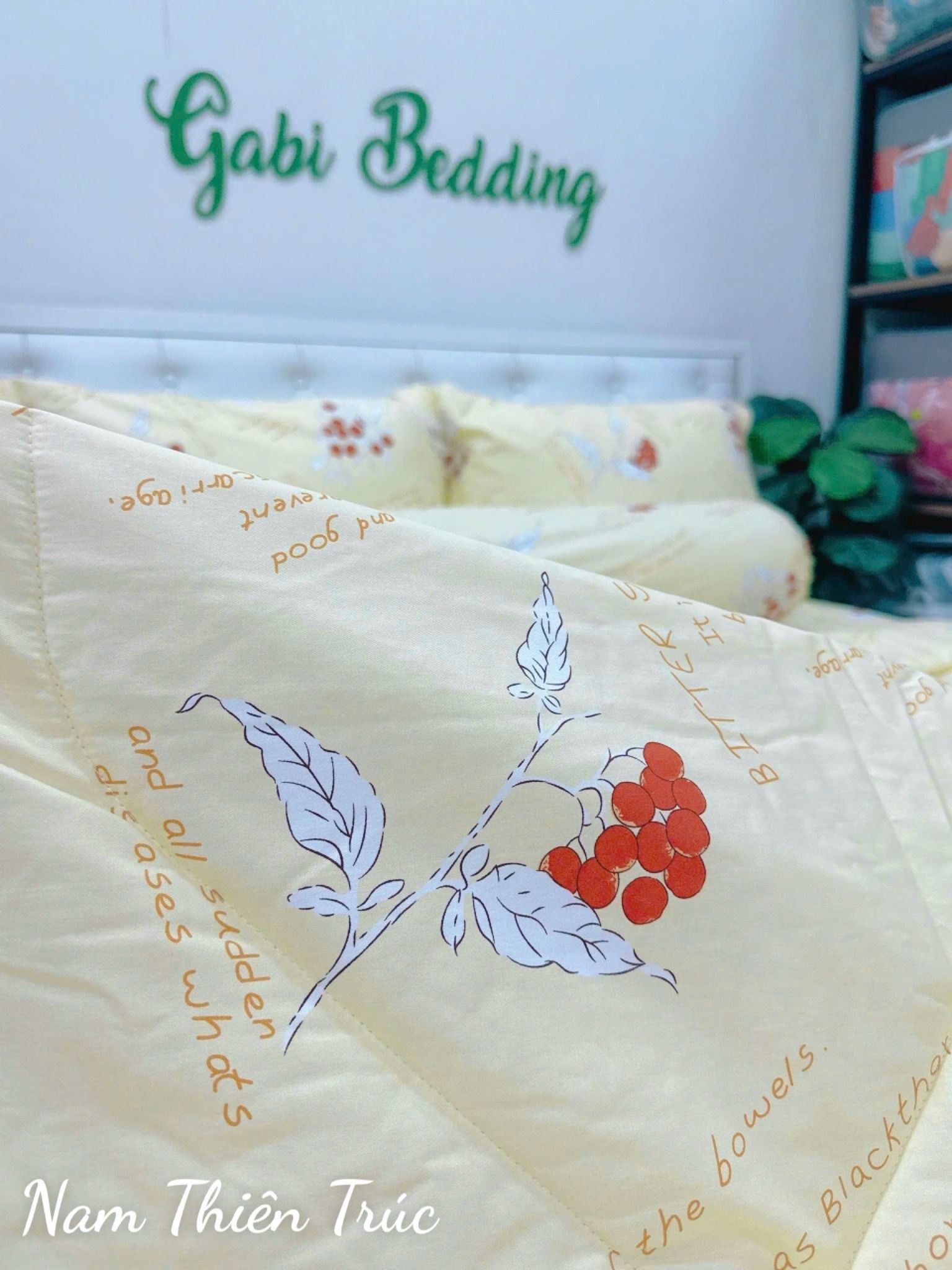 Cotton Nam Thiên Trúc