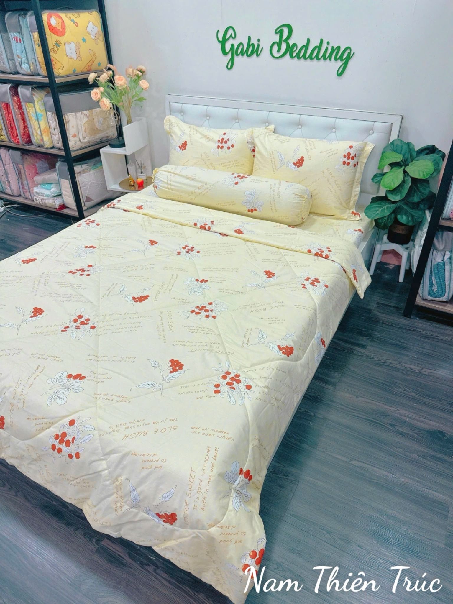 Cotton Nam Thiên Trúc