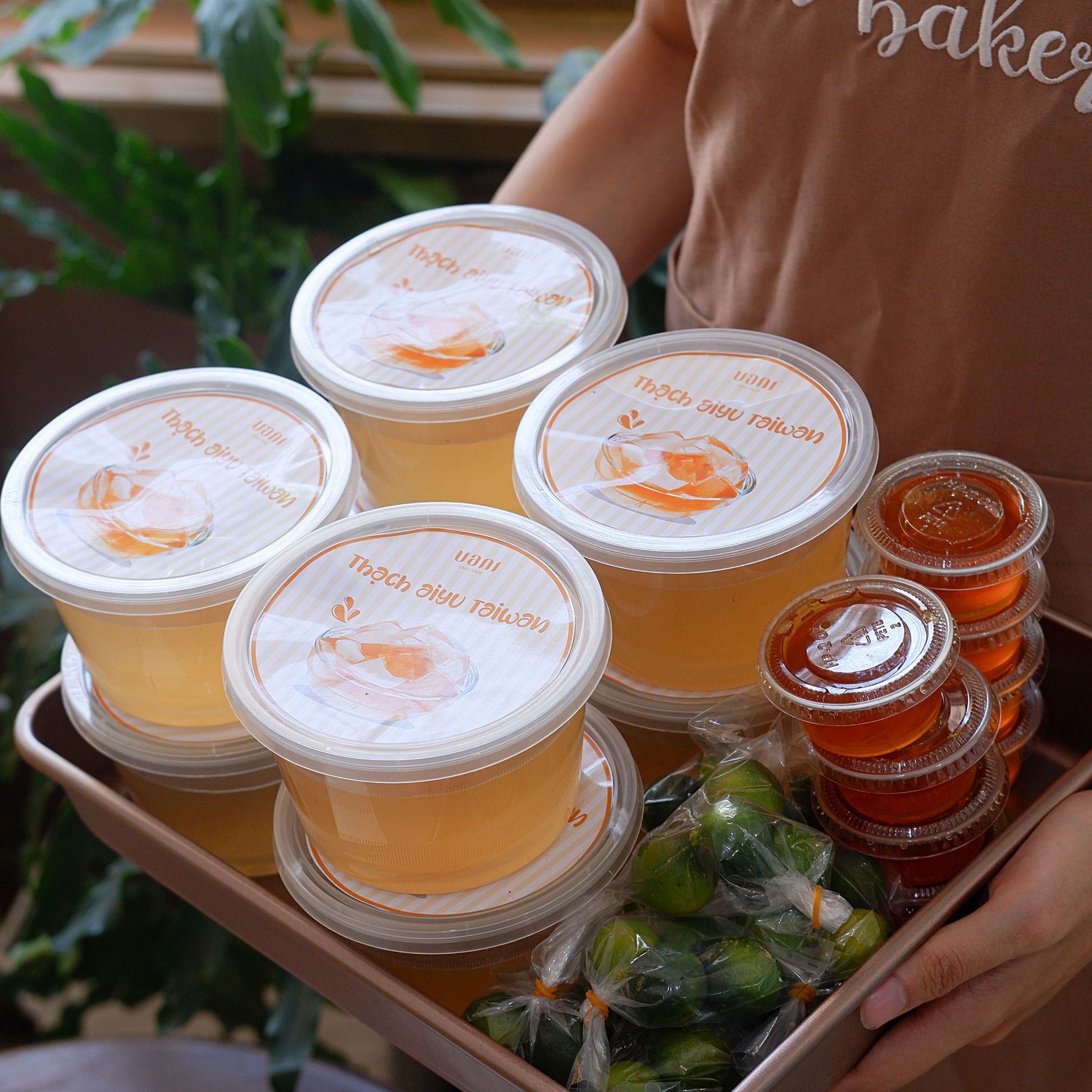 Thạch aiju