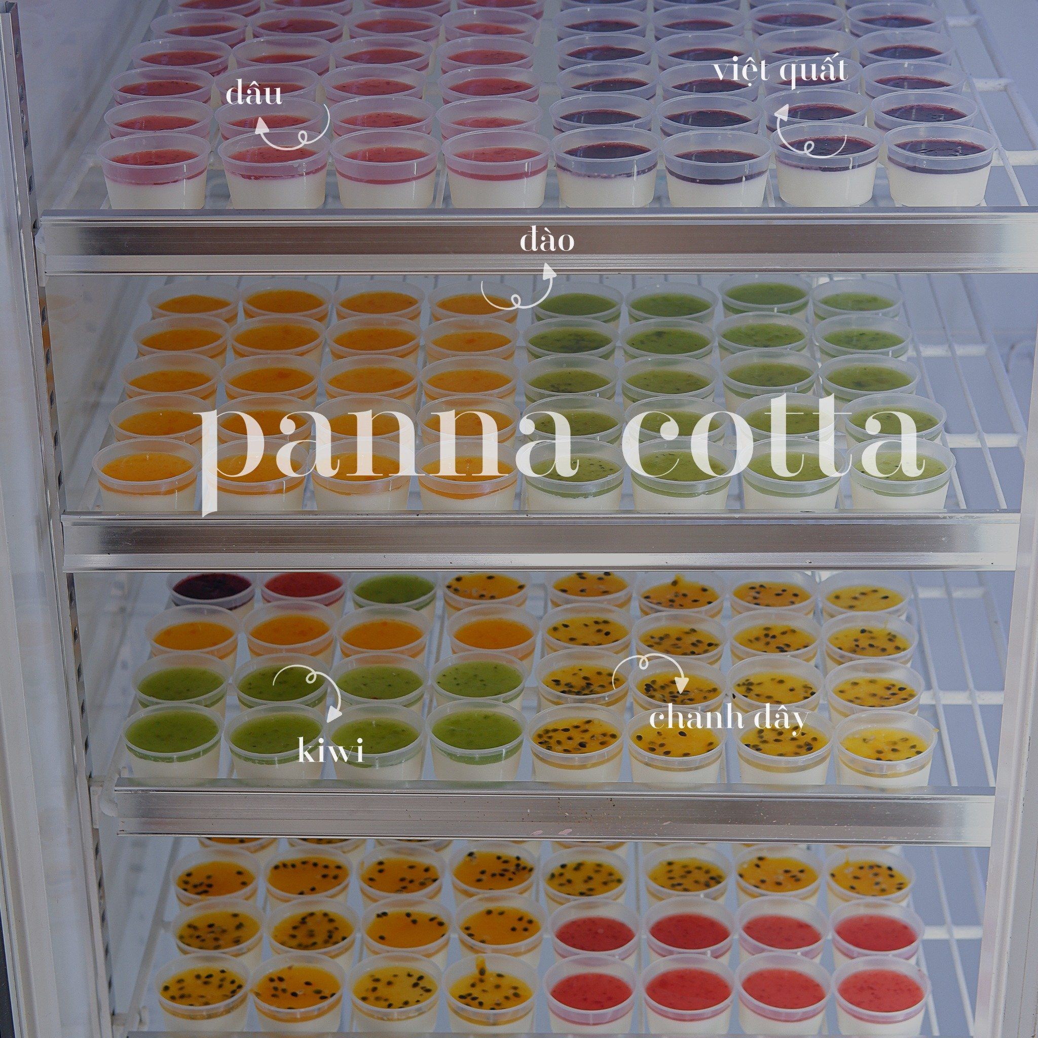 Panna cotta