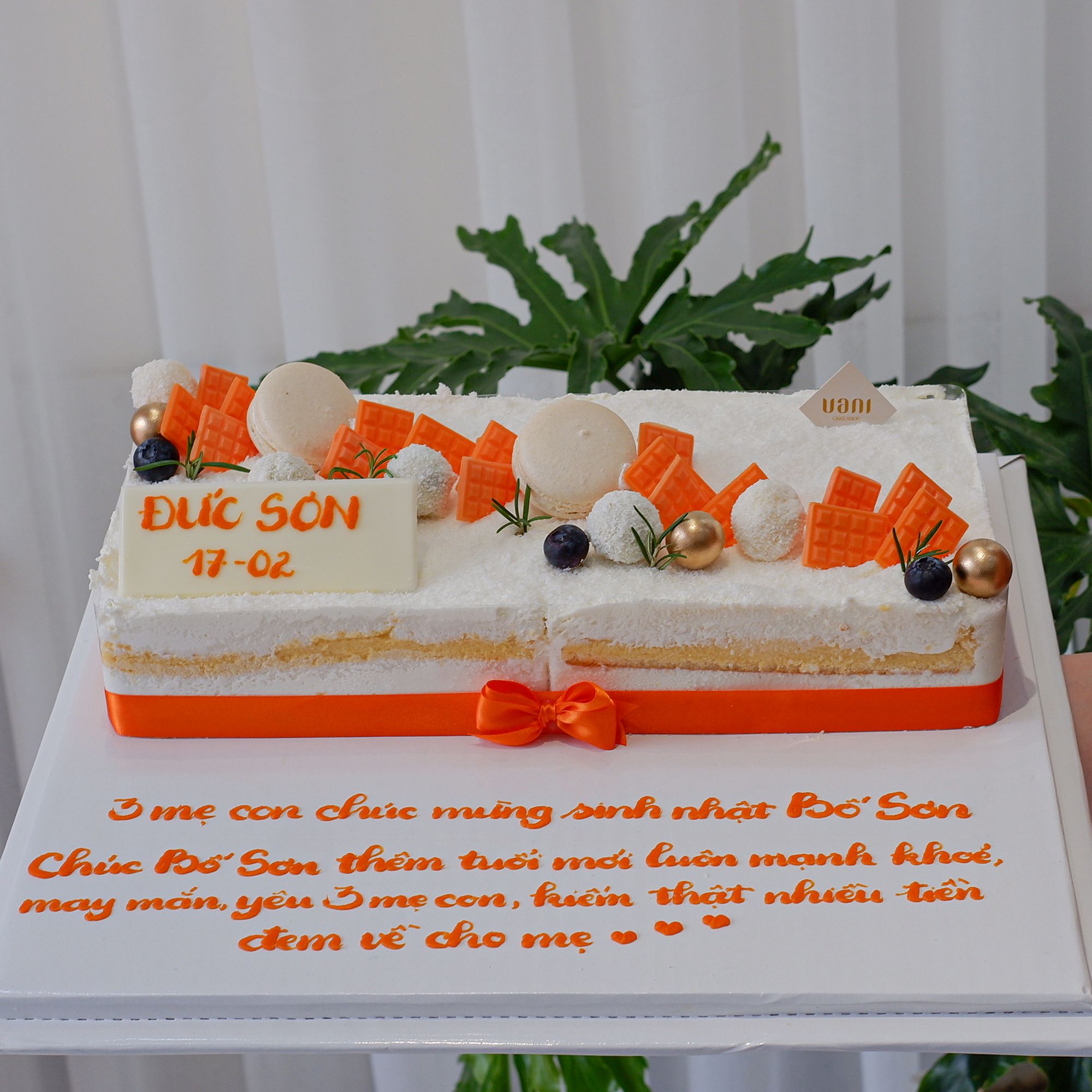 Bánh mousse dừa size to (2 bánh)