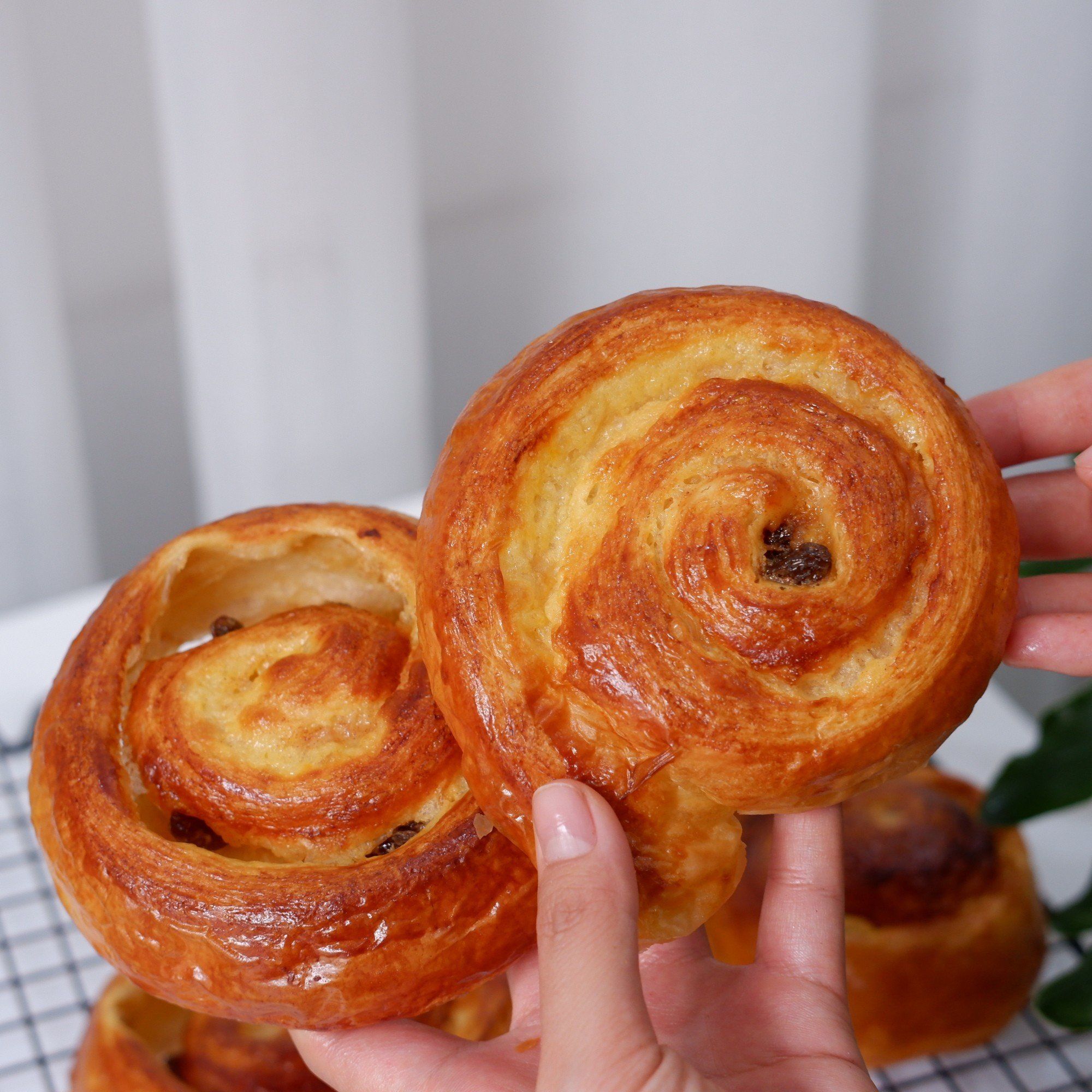 Bánh danish nho cuộn