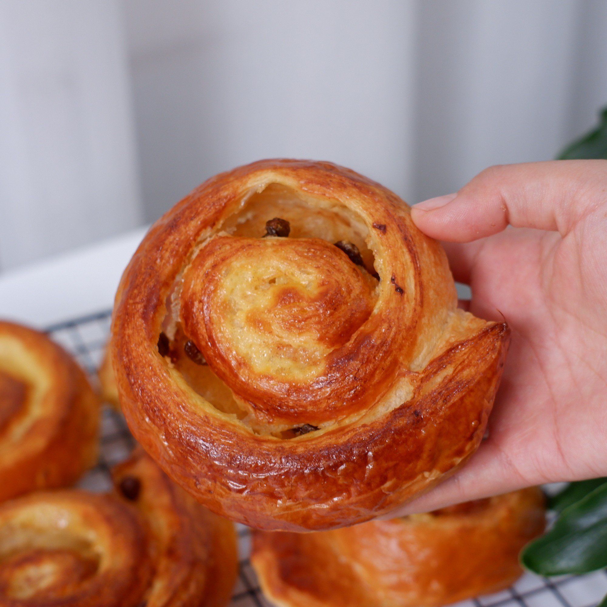 Bánh danish nho cuộn