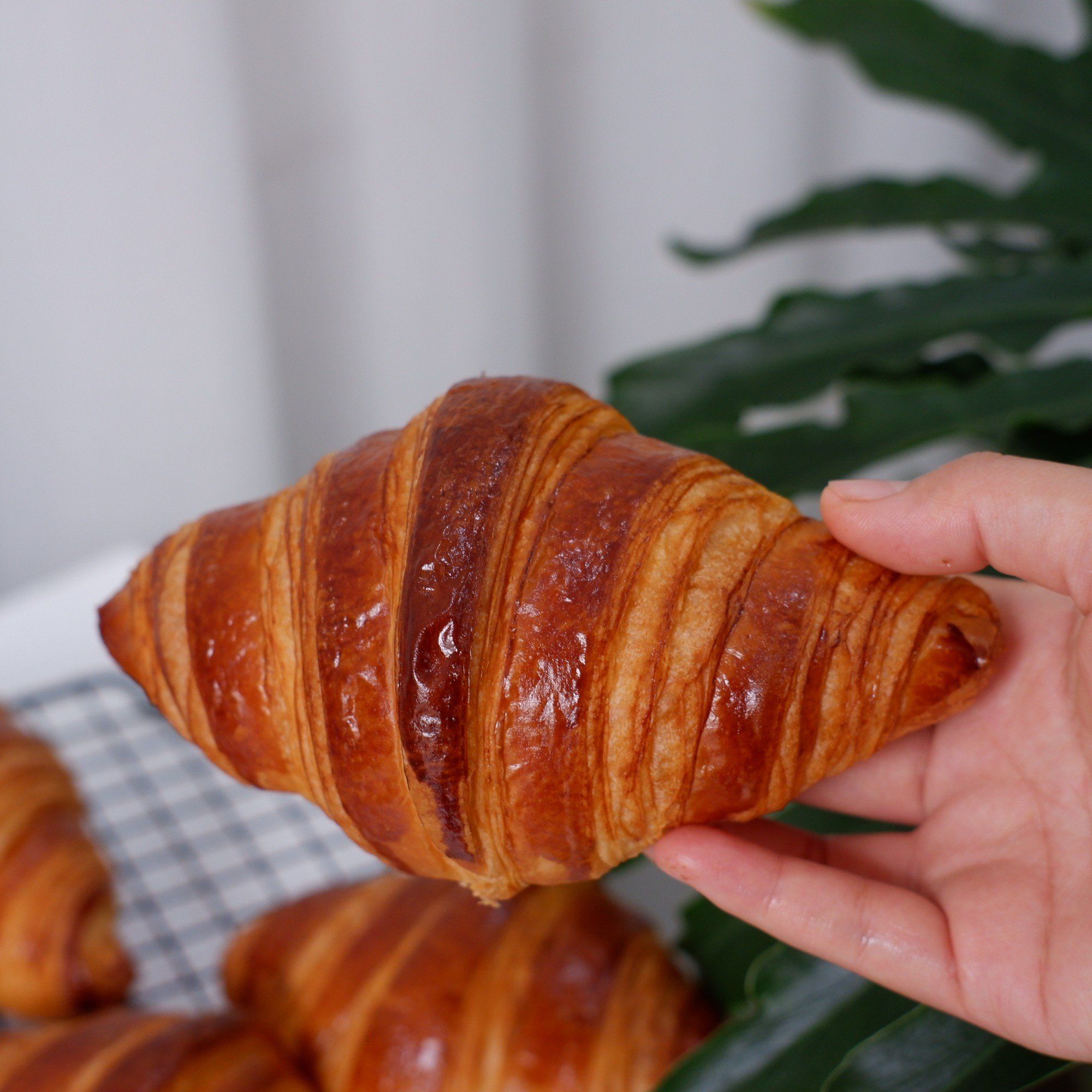 Bánh sừng trâu không nhân