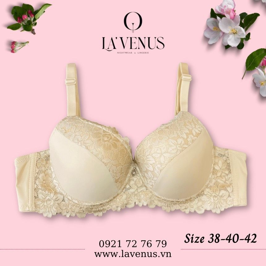 Áo ngực Big Size nâng nhẹ có gọng B2229