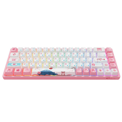  Bàn phím cơ AKKO 3068 v2 World Tour Tokyo R2 RGB – Bluetooth 5.0 (Gateron switch / Foam tiêu âm / Pre-Lubed) 