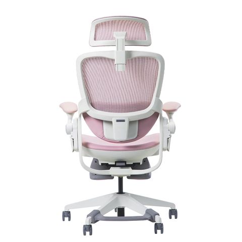  Ghế công thái học Epione Easy Chair BLOSSOM 