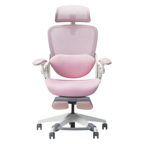  Ghế công thái học Epione Easy Chair BLOSSOM 