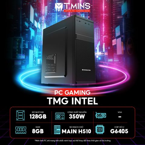  TMG INTEL 