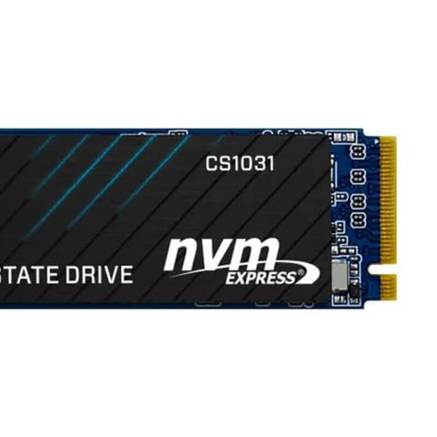  Ổ cứng SSD PNY CS1031 M.2 2280 256GB (Gen 3x4) 