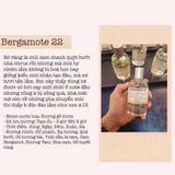  Le Labo Bergamote 22 100ml 