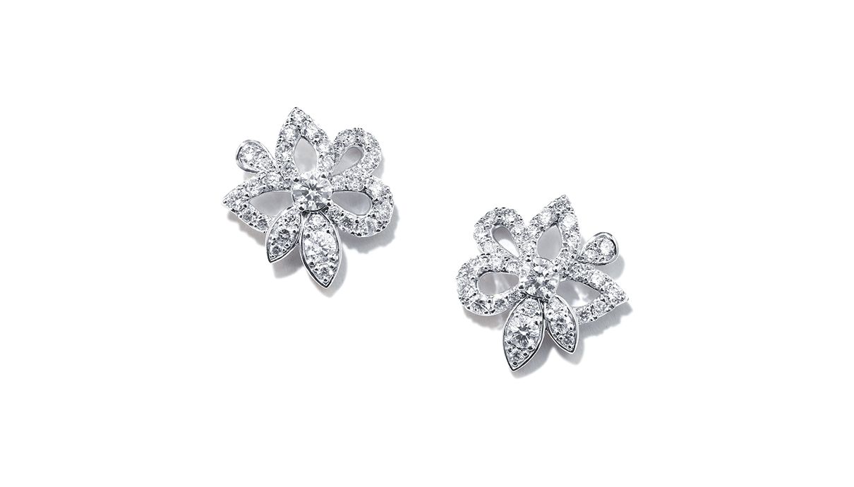 Snow Blossom