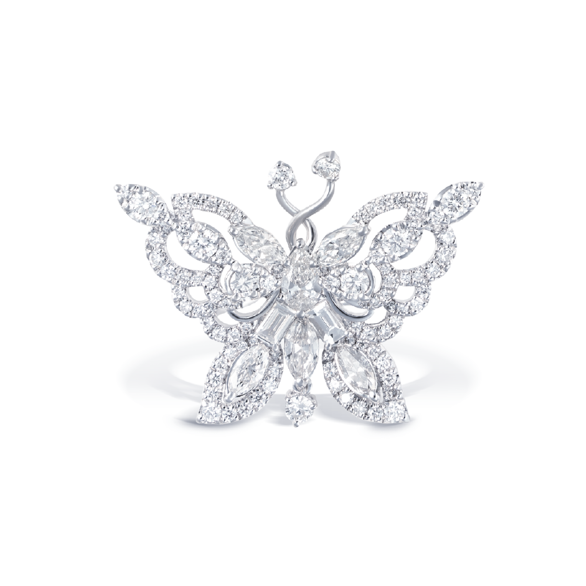Fluttering Elegance