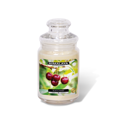 Nến Thơm Himalaya Black Cherry (2 bấc)