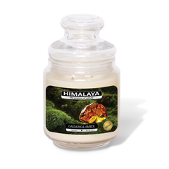 Nến Thơm Himalaya Oakmoss & Amber (2 bấc)