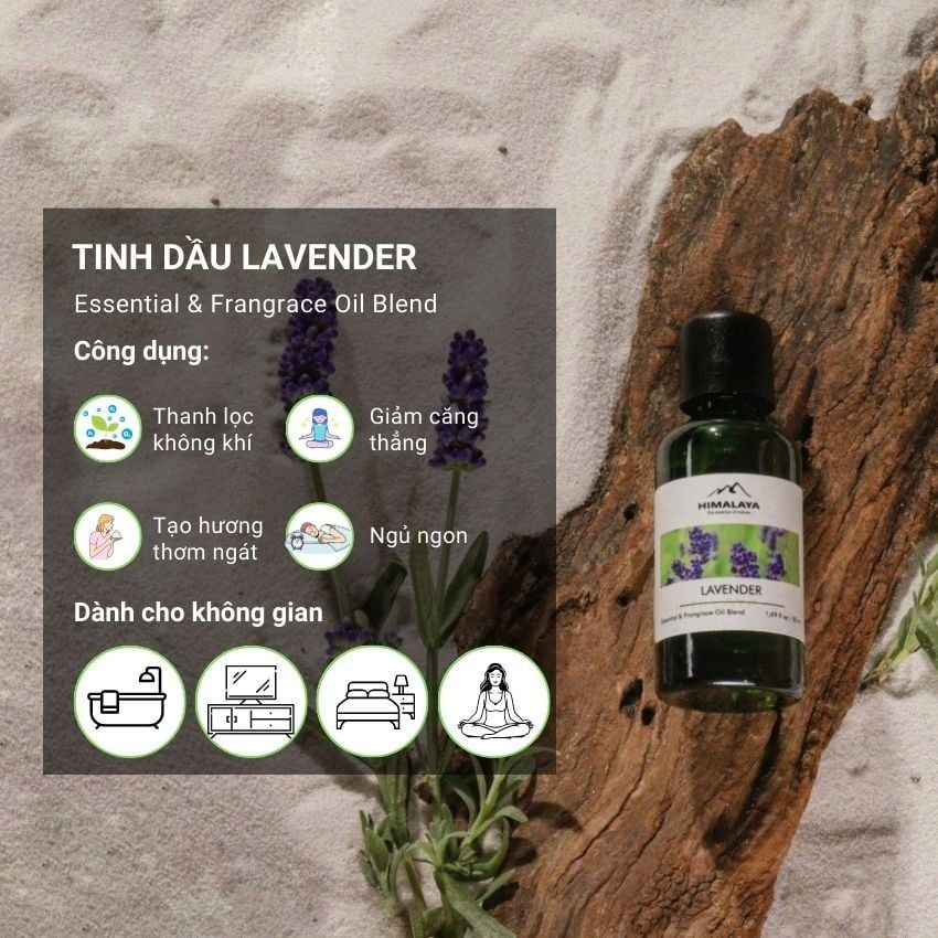 Tinh dầu Himalaya Lavender
