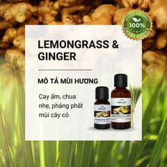 Tinh dầu Himalaya Lemongrass & Ginger