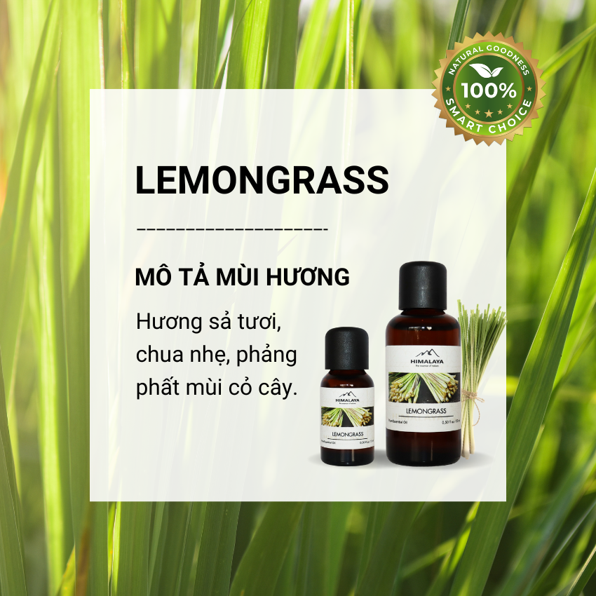 Tinh dầu Himalaya Lemongrass
