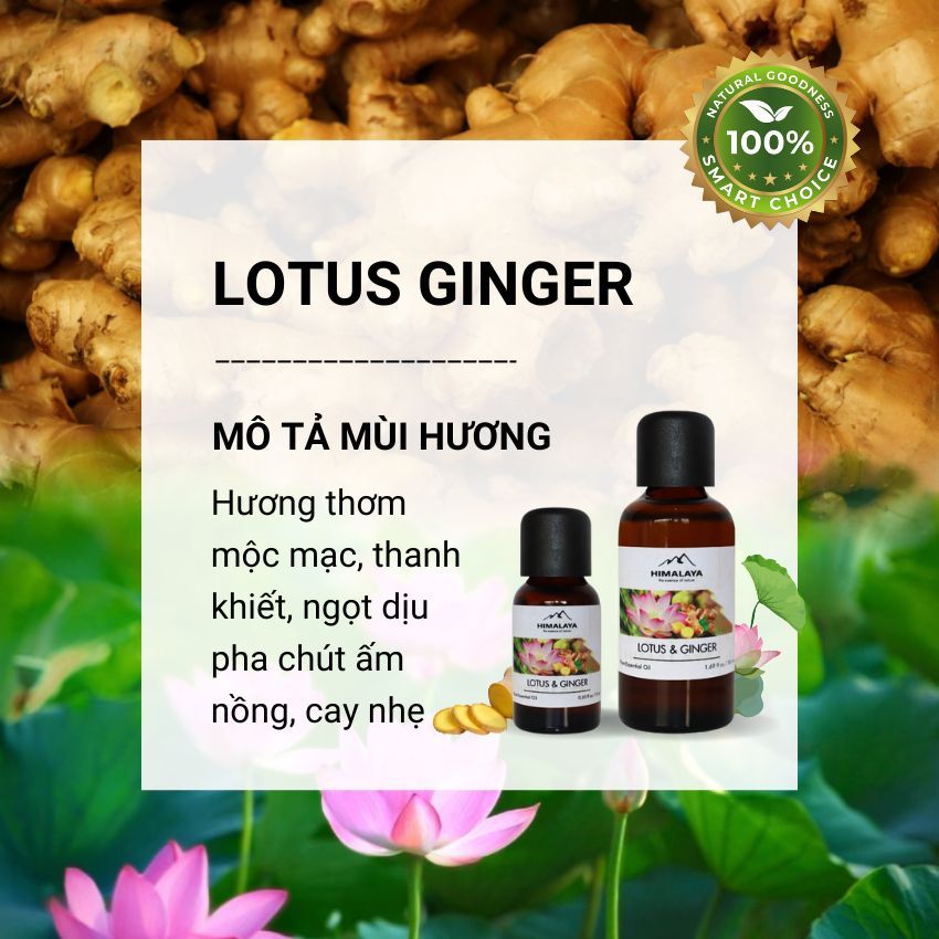 Tinh dầu Himalaya Lotus & Ginger