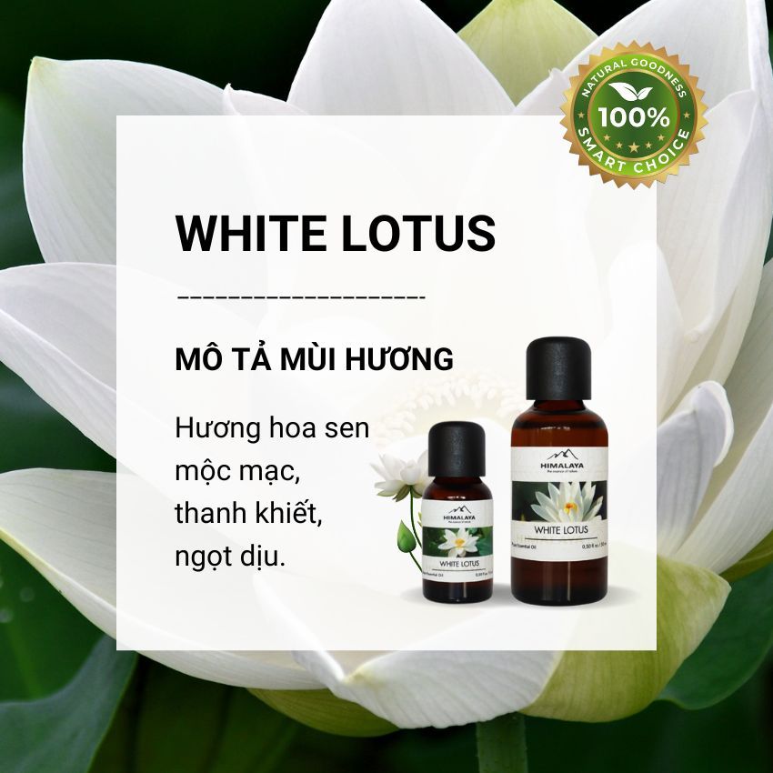 Tinh dầu Himalaya White Lotus