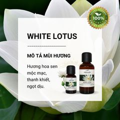 Tinh dầu Himalaya White Lotus