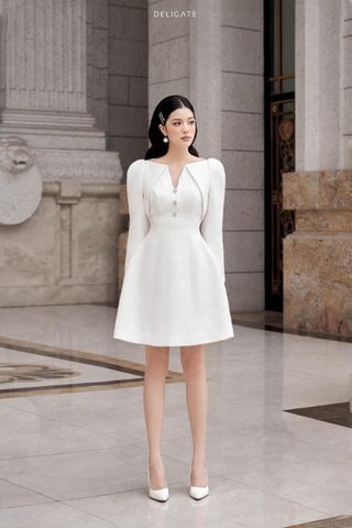 Đầm Ngắn Tay Dài DELICATE