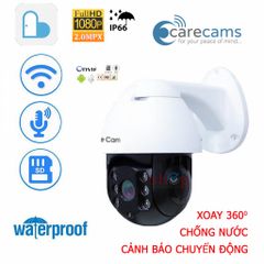 Camera IP Carecam 19HS-200W Độ phân giải 2.0MP Chống nước xoay 360 độ