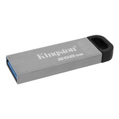 USB Kingston DTKN 256Gb USB3.2 (vỏ kim loại)