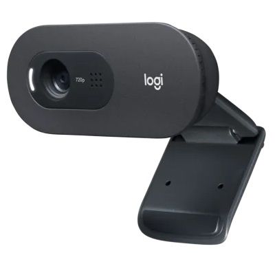 Webcam Logitech 960-001370/4 C505 HD