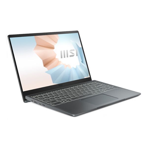 Laptop MSI Modern 14 B10MW 646VN (Core i5-10210U/8GB/512GB/Intel® UHD/14 inch FHD/Win 10/Xám)