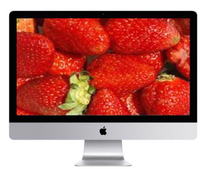 iMac 21.5″ (i5 7th Gen/8GB RAM/1TB Storage/2GB Graphics 4K Retina) (MNDY2ZP/A)