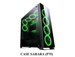 Case Sahara P75