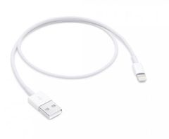 Dây Cáp Sạc Lightning Cho Iphone Apple ME291ZA/A (0.5m)