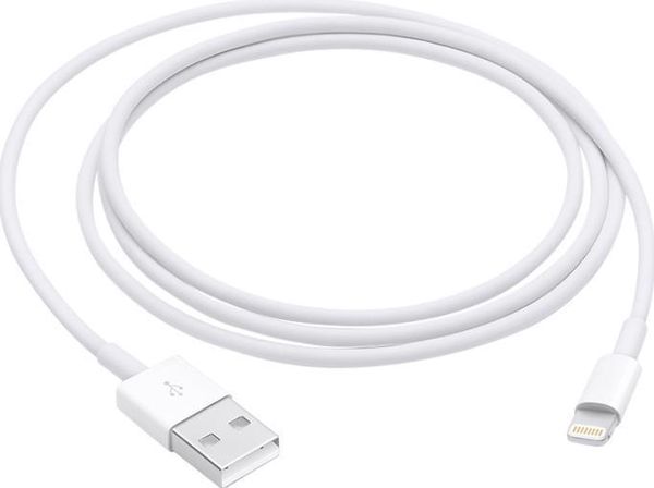 Dây Cáp Sạc Lightning Cho Iphone Apple MXLY2ZA/A 1.0m