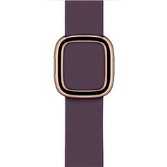 Apple Watch 40mm Aubergine Modern Buckle - Small