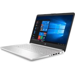 Laptop HP 14s-dq1100TU (193U0PA) (i3-1005G1/4GB/256GB SSD/14 HD/Win10/Bạc)