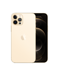 iPhone 12 Pro 256GB Gold (MGMR3VN/A)